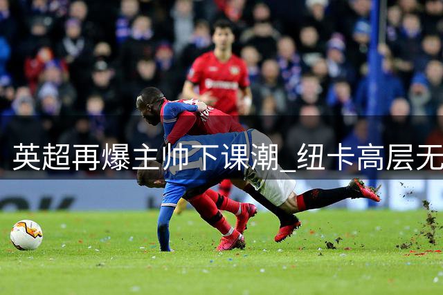 英超再爆主帅下课潮 纽卡高层无视谢尔维力挺解雇埃迪·豪